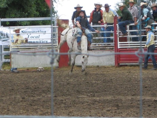 rodeo 056