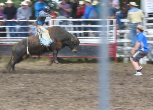 rodeo 100